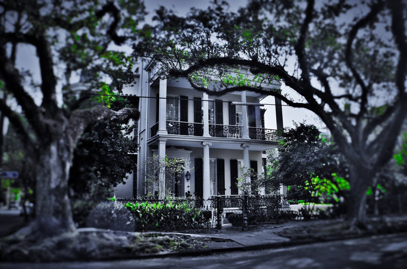 1239 First St. New Orleans